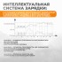 Пуско-зарядное устройство интеллектуальное, 300А, 12/24В